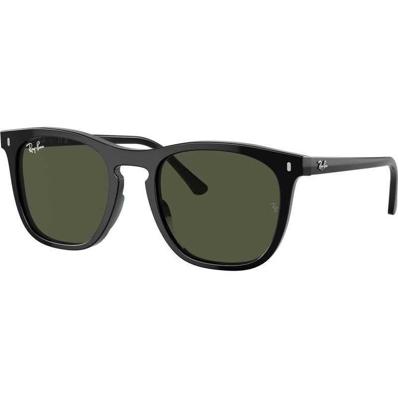 Ray-Ban RB2210