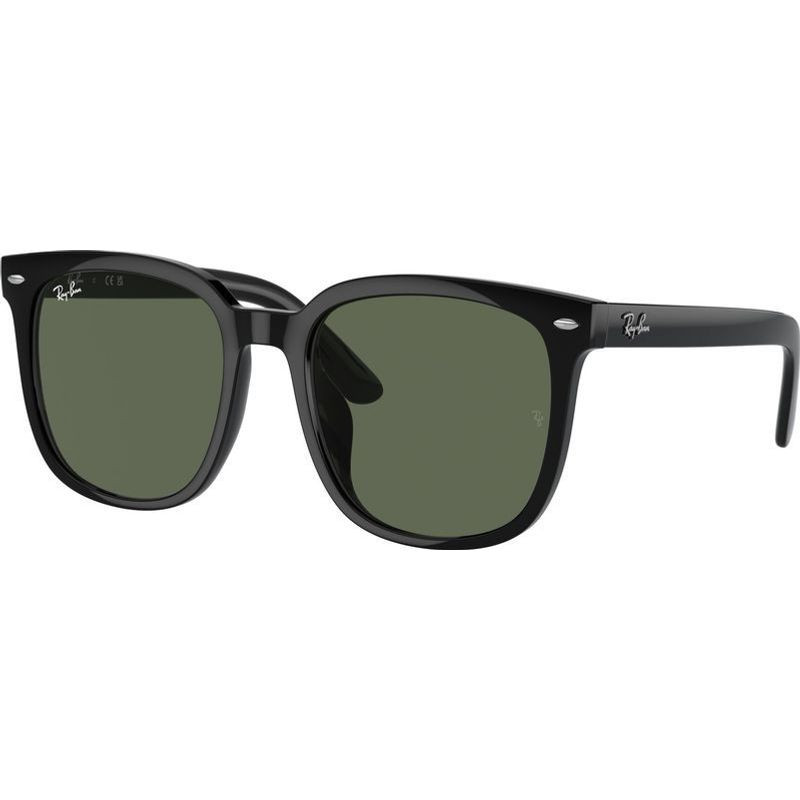 Ray-Ban RB4401D