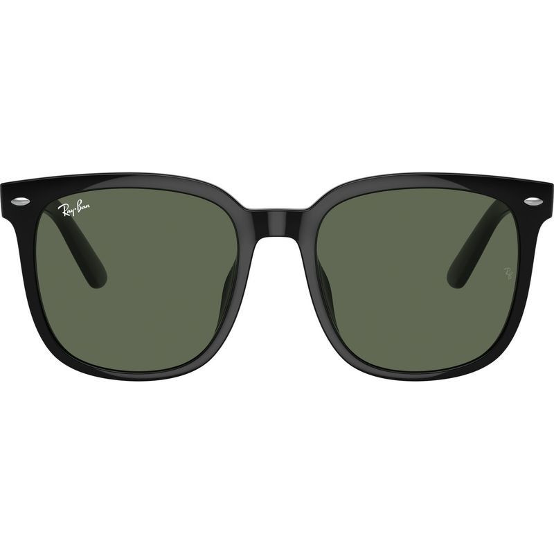 Ray-Ban RB4401D