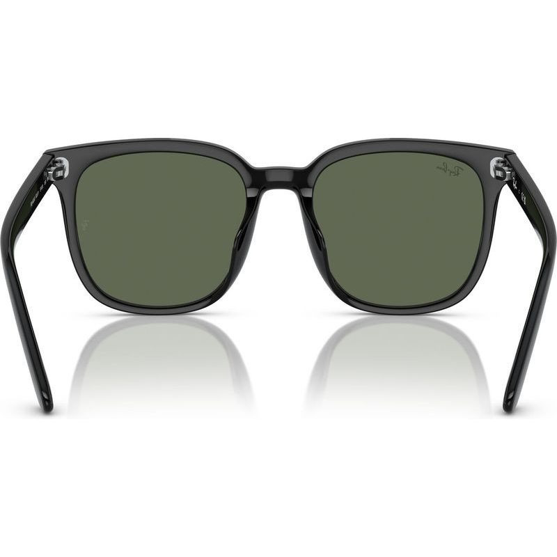 Ray-Ban RB4401D