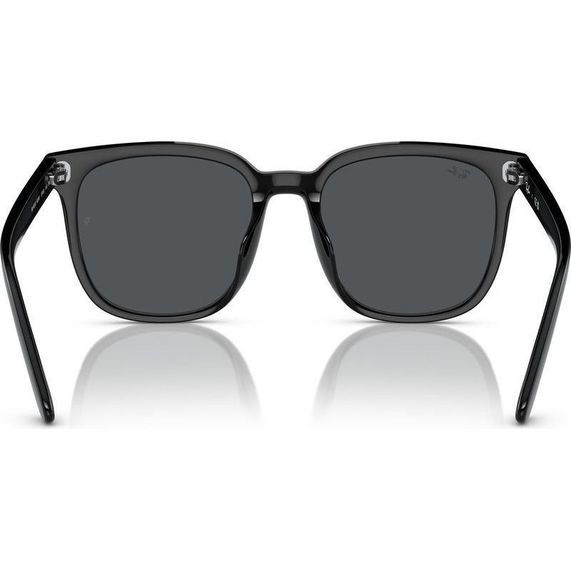 Ray-Ban RB4401D