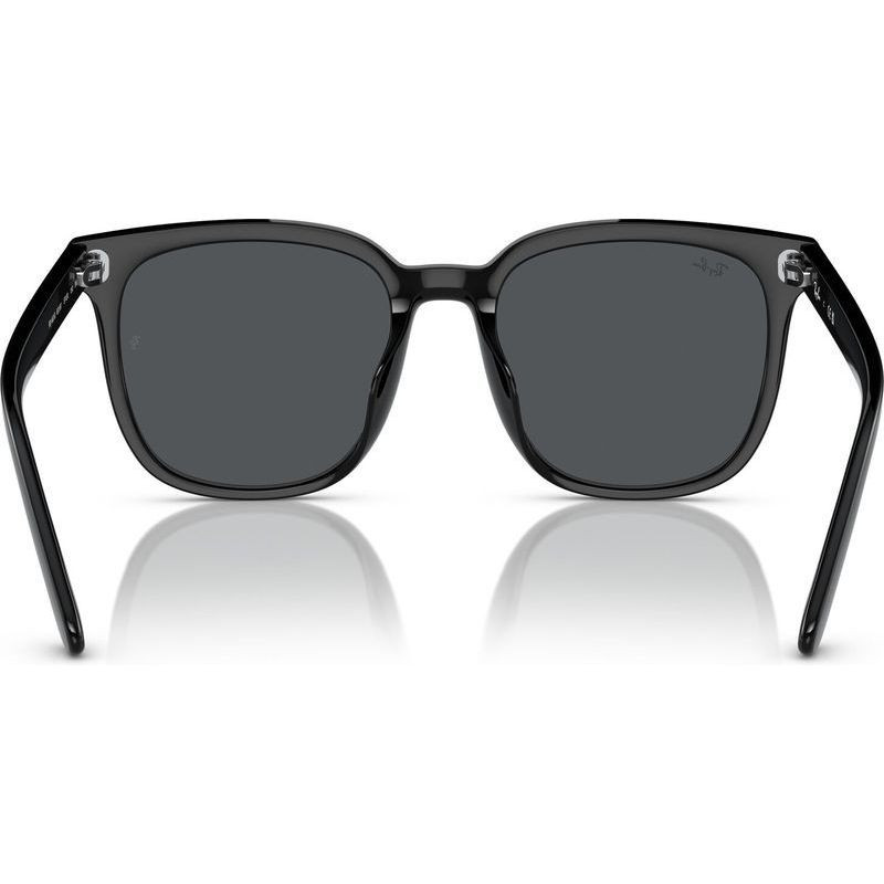 Ray-Ban RB4401D