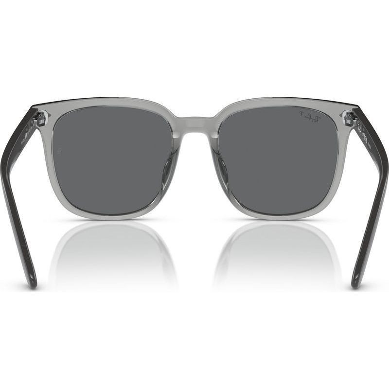 Ray-Ban RB4401D