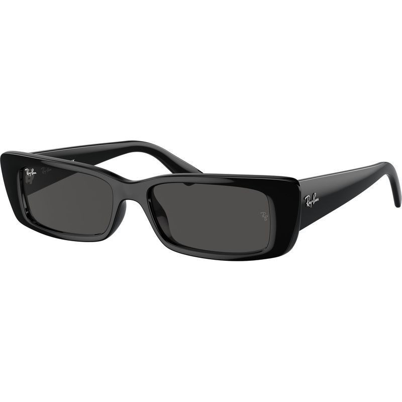 Ray-Ban Teru RB4425