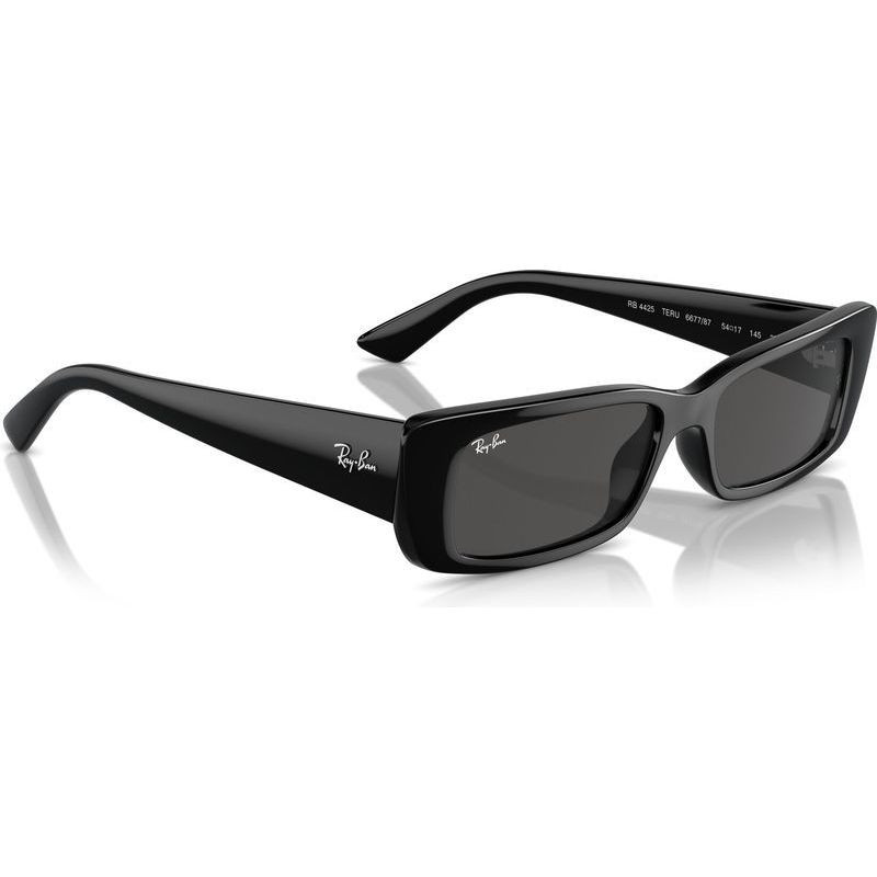 Ray-Ban Teru RB4425