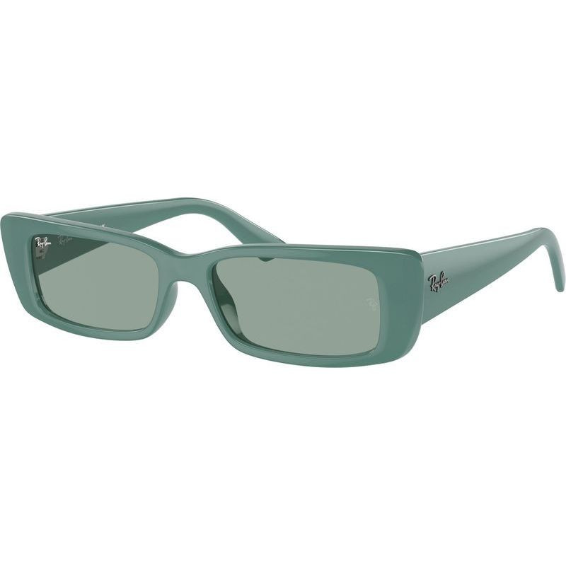 Ray-Ban Teru RB4425