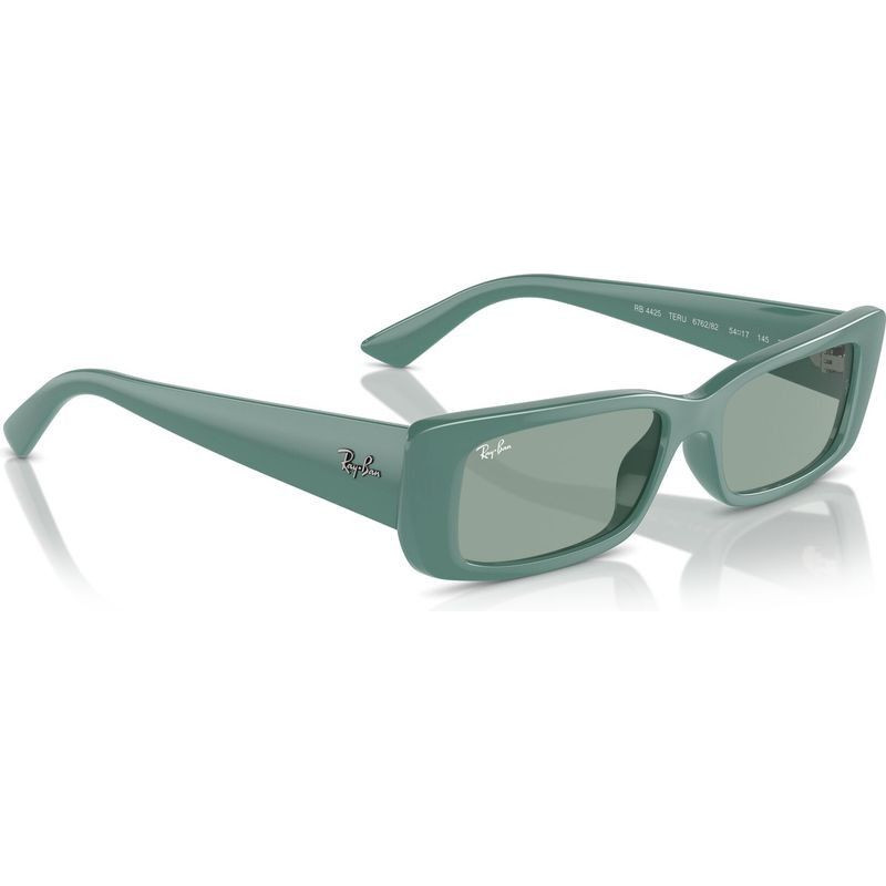 Ray-Ban Teru RB4425