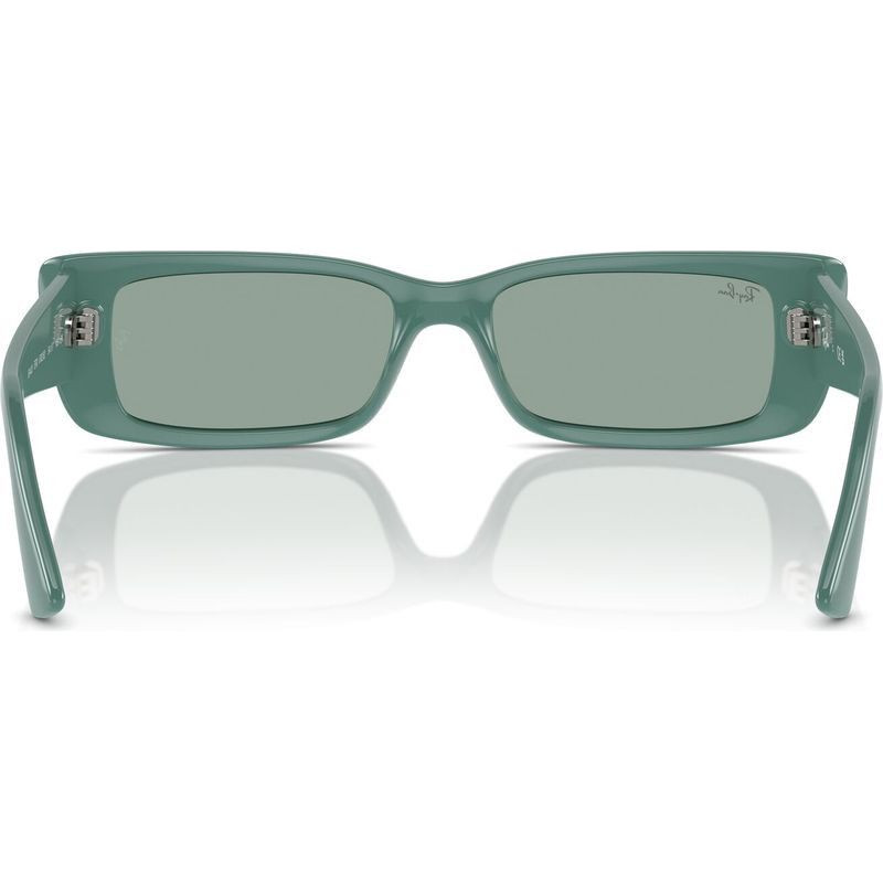 Ray-Ban Teru RB4425