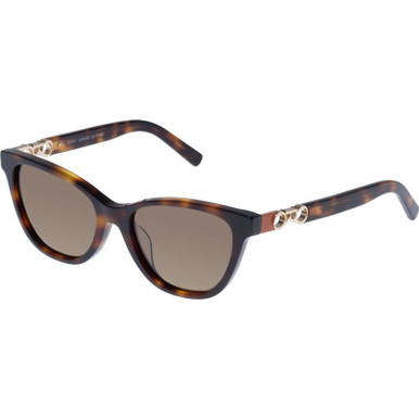 Signature Tort/Brown Polarised Lenses