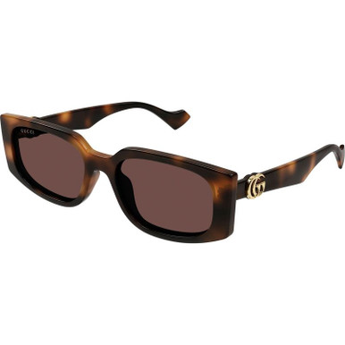 GUCCI GG1534S - Havana/Brown Lenses