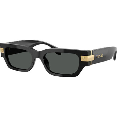 /versace-sunglasses/ve4465-4465gb18753