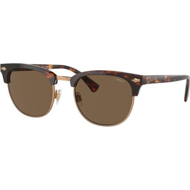 Polo Ralph Lauren PH4217 - Shiny Brown Tortoise/Brown Lenses