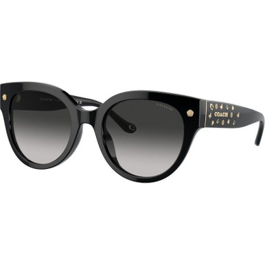 Coach HC8393U, Black/Grey Gradient Lenses