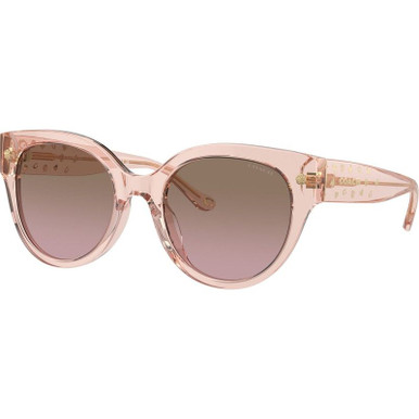 /coach-sunglasses/hc8393u-8393u56681453