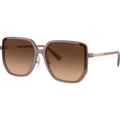 Coach HC8401D - Milky Light Brown/Brown Gradient Lenses