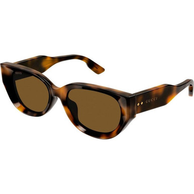 GUCCI GG1532SA - Havana/Brown Lenses