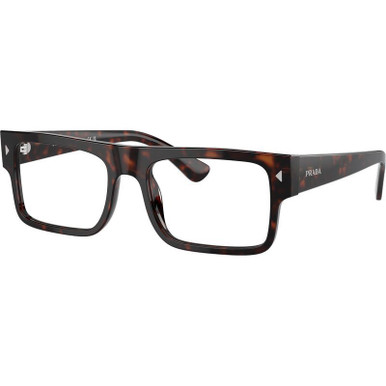 Havana/Clear Lenses 55 Eye Size