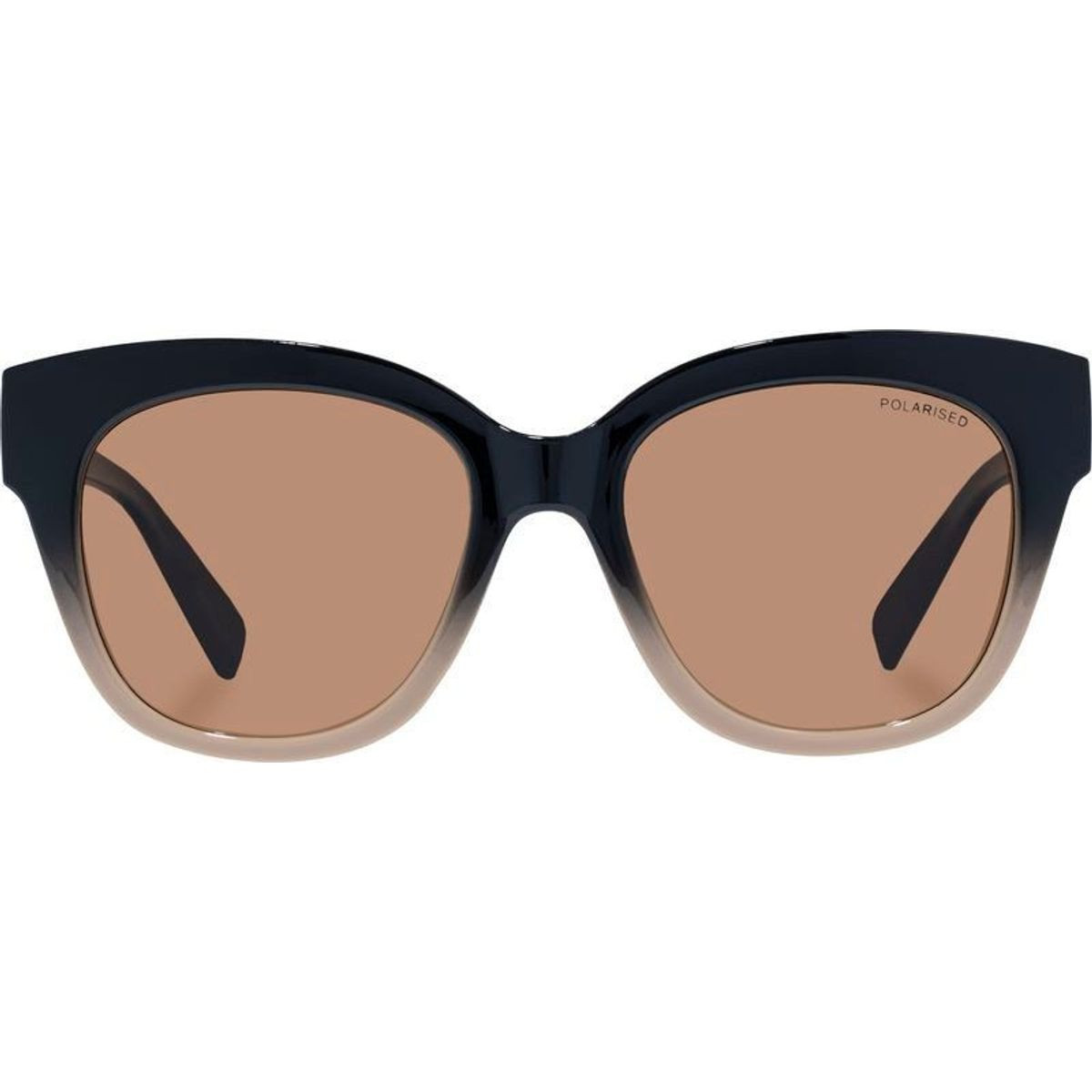 Cancer Council Paisley