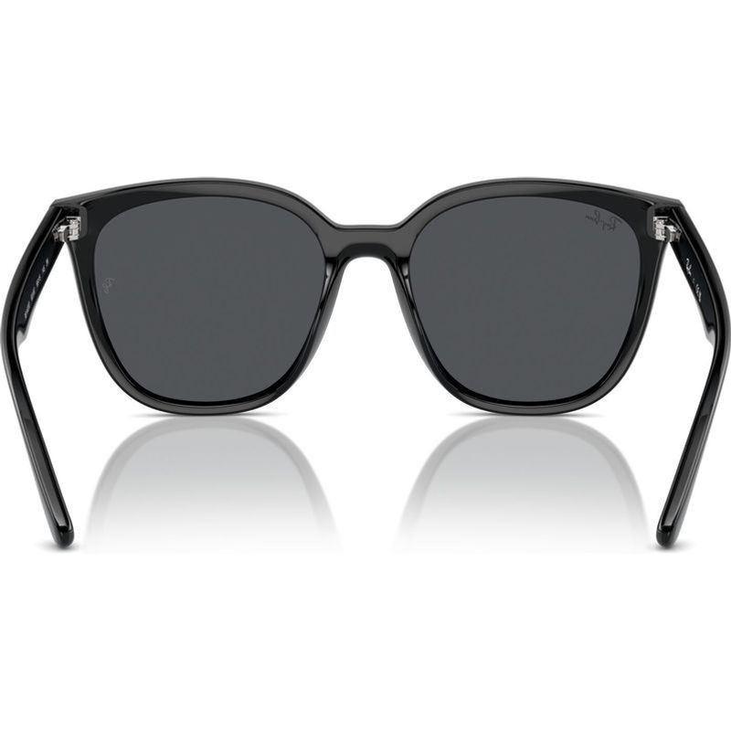 Ray-Ban RB4423D