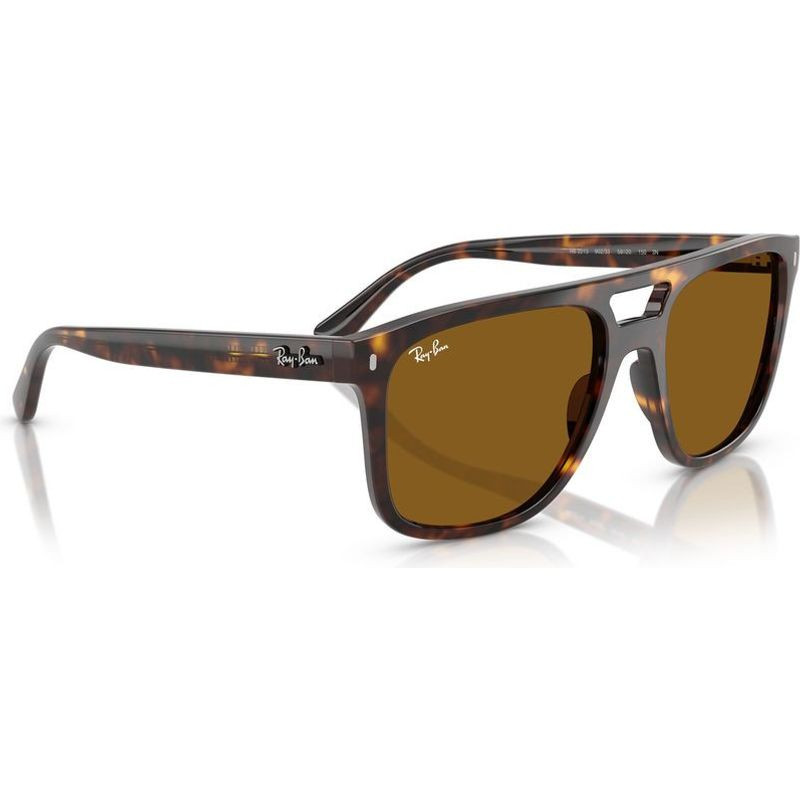 Ray-Ban RB2213