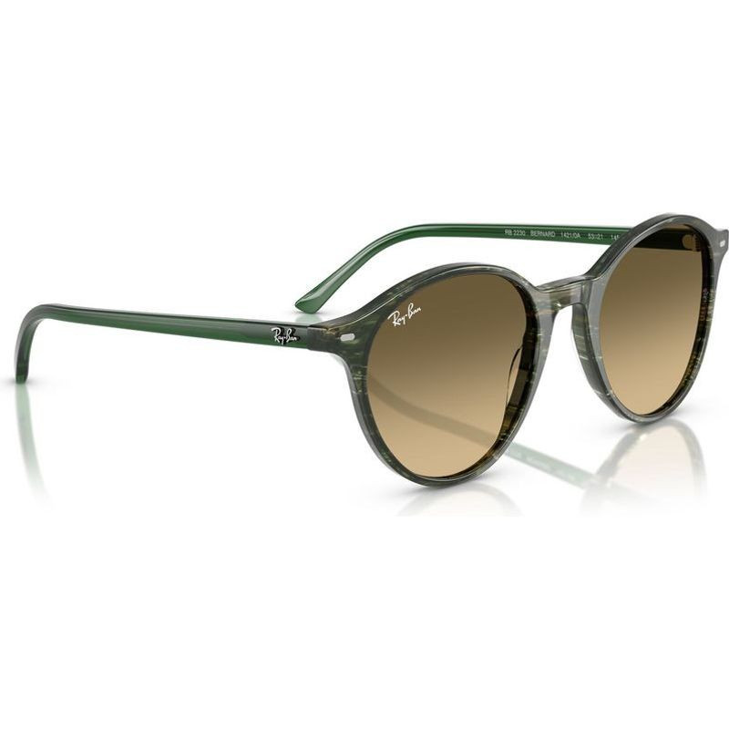 Ray-Ban Bernard RB2230