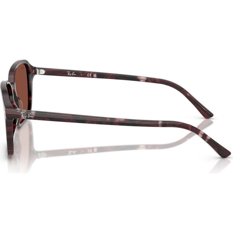 Ray-Ban Raimond RB2231