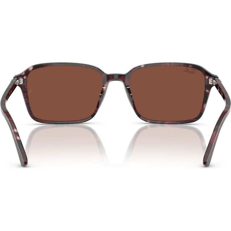 Ray-Ban Raimond RB2231