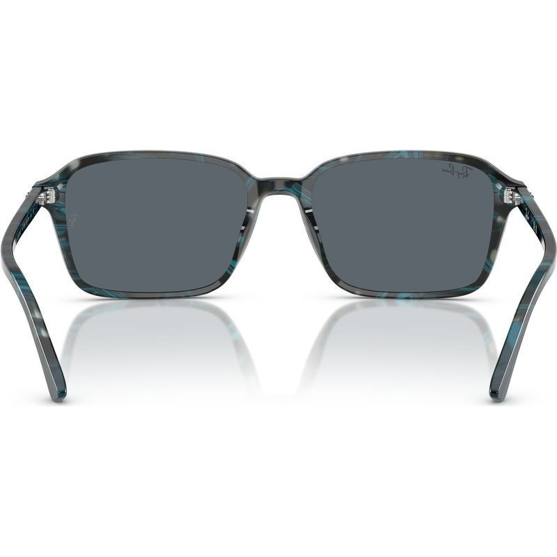 Ray-Ban Raimond RB2231