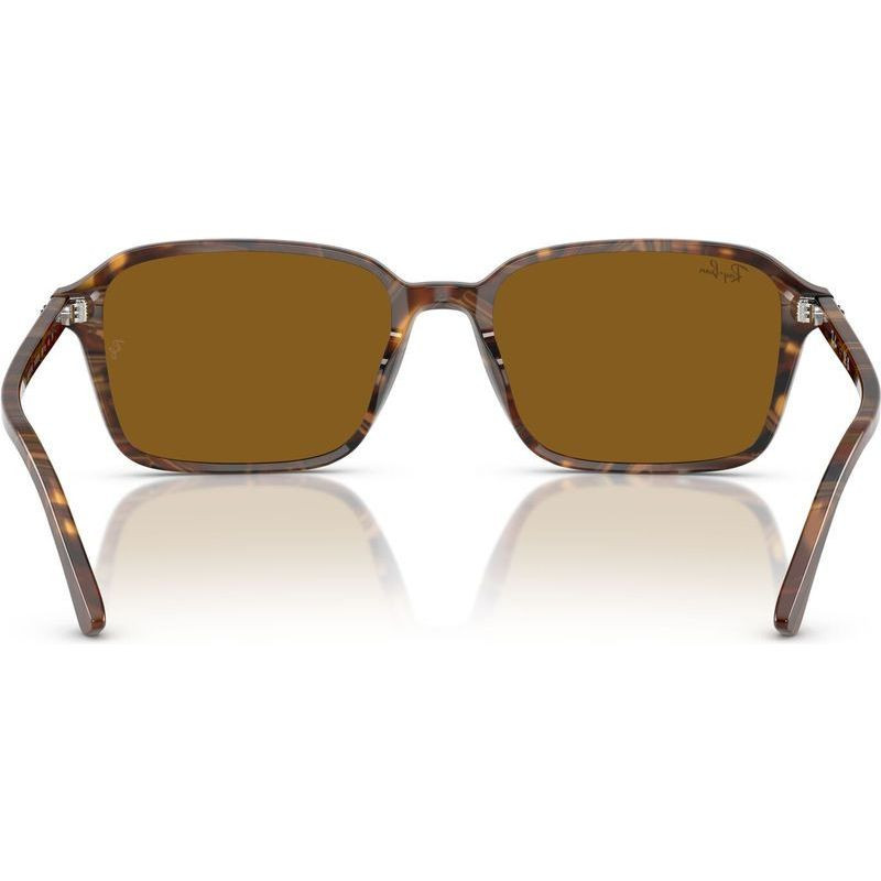 Ray-Ban Raimond RB2231