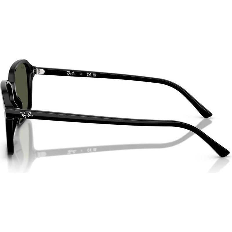 Ray-Ban Raimond RB2231