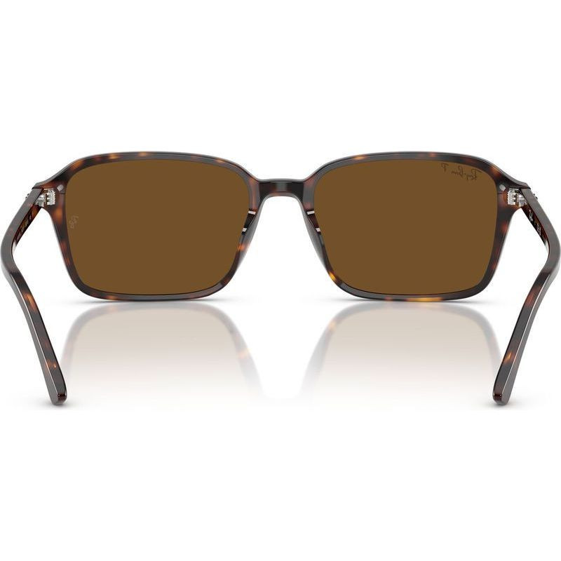 Ray-Ban Raimond RB2231