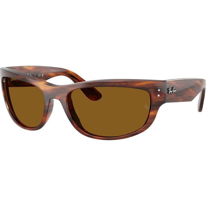 Ray-Ban Mega Balorama RB2289