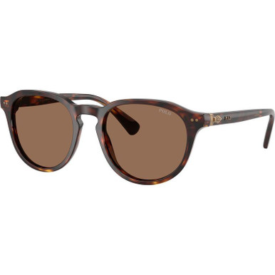 Shiny Brown Tortoise/Dark Brown Lenses