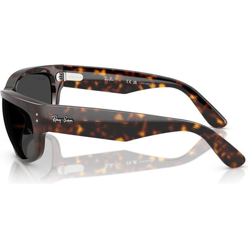 Ray-Ban Mega Balorama RB2289