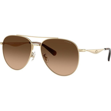 Shiny Light Gold/Brown Gradient Lenses