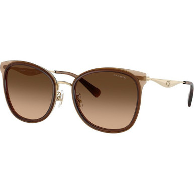Light Gold and Brown/Brown Gradient Lenses
