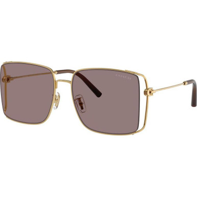 Shiny Gold/Mauve Lenses