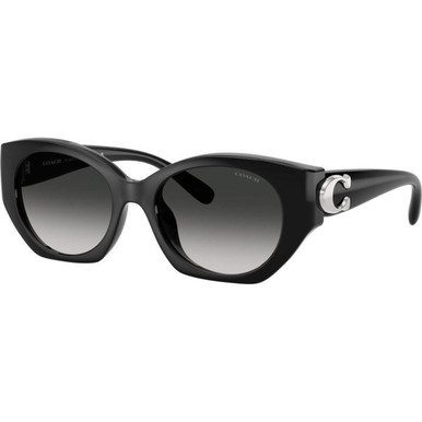 /coach-sunglasses/hc8407u-8407u50023c52