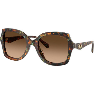 Jade Pearl Tortoise/Brown Gradient Lenses