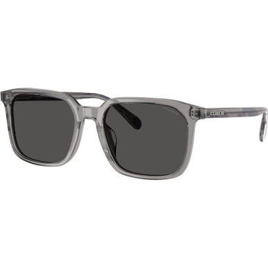 Coach HC8411U, Transparent Grey/Grey Lenses
