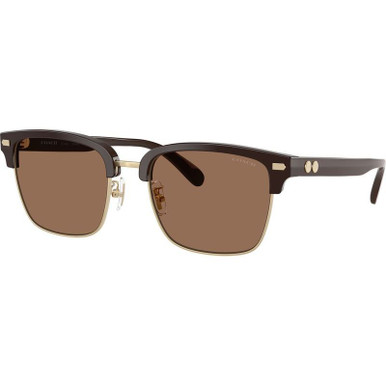 Light Gold and Brown/Brown Lenses