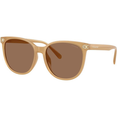 Coach HC8414BD - Milky Tea/Brown Lenses