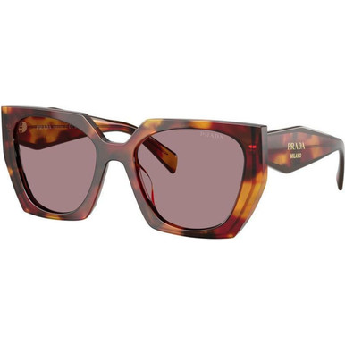 Poppy Tortoise/Light Purple Brown Lenses
