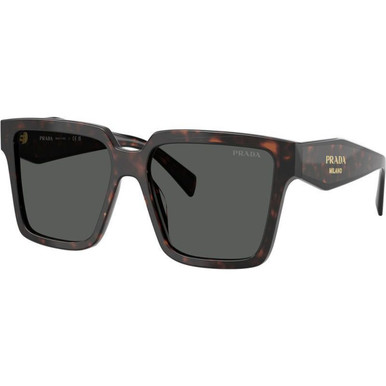 Prada PR24ZS, Root Tortoise/Dark Grey Lenses