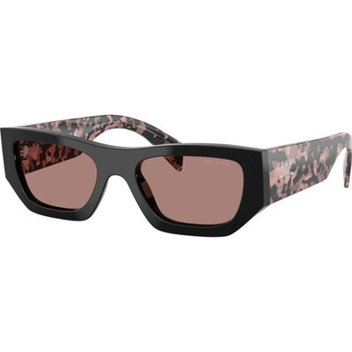 Black/Light Brown Lenses