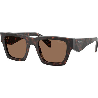 Root Tortoise/Dark Brown Lenses