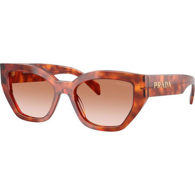 Cognac Tortoise/Brown Gradient Lenses