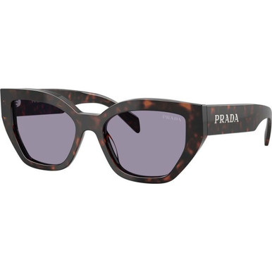 Root Tortoise/Grey Lenses