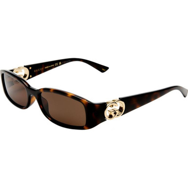 GUCCI GG1661S - Havana/Brown Lenses