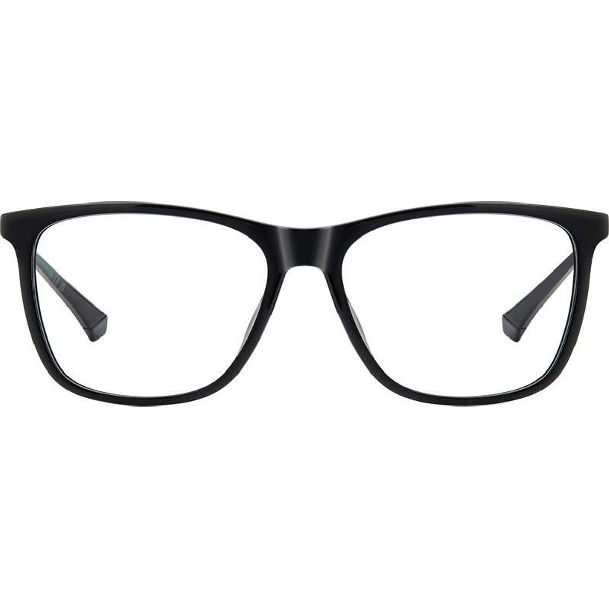 Polaroid Glasses PLD D549/G